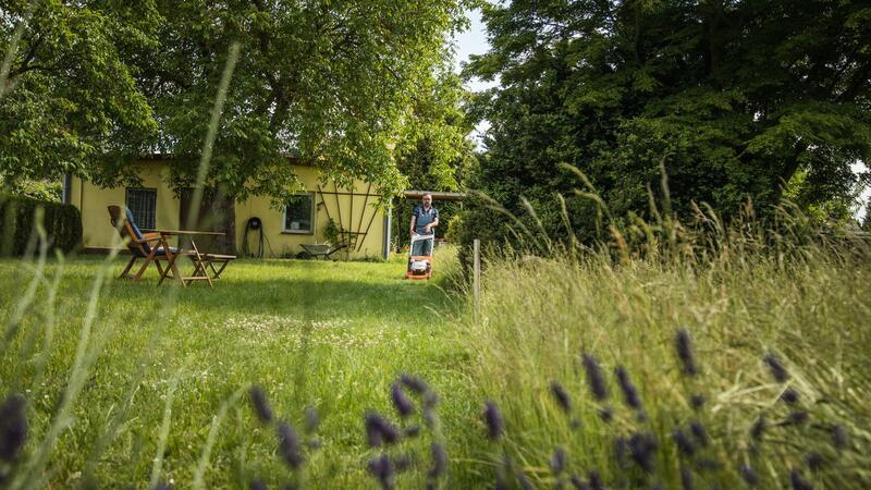 Weniger Rasenmähen im Sommer fördert die Bodengesundheit.