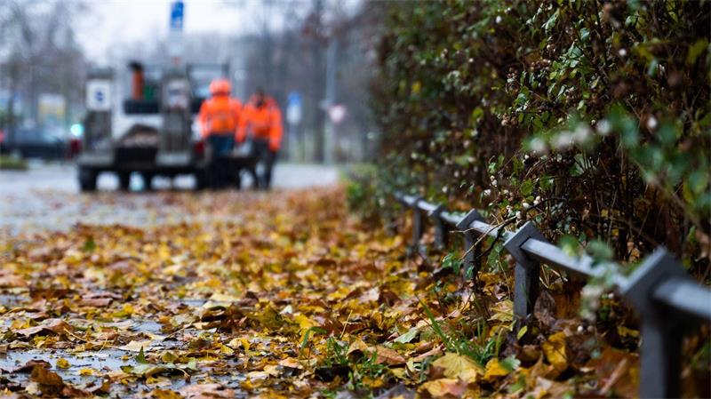 Kürzere Tage, kältere Luft: Wie der Herbst im Körper wirkt Weniger Tageslicht kann müde machen, helles Kunstlicht dagegen am Abend den Schlaf hinauszögern. (Symbolbild)
