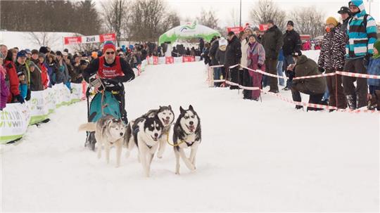 Wenn ausreichend Schnee liegt und die Schlittenhunde starten können, erfreuen sich die Rennen stets großer Beliebtheit.