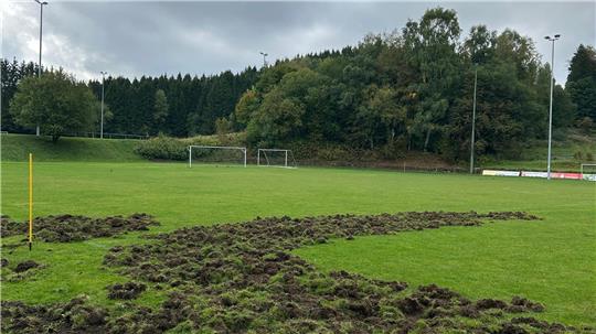 Wenn der neue Zaun steht, soll es mit den Wildschweinattacken auf der Ringerhalde endlich vorbei sein. Foto: Privat