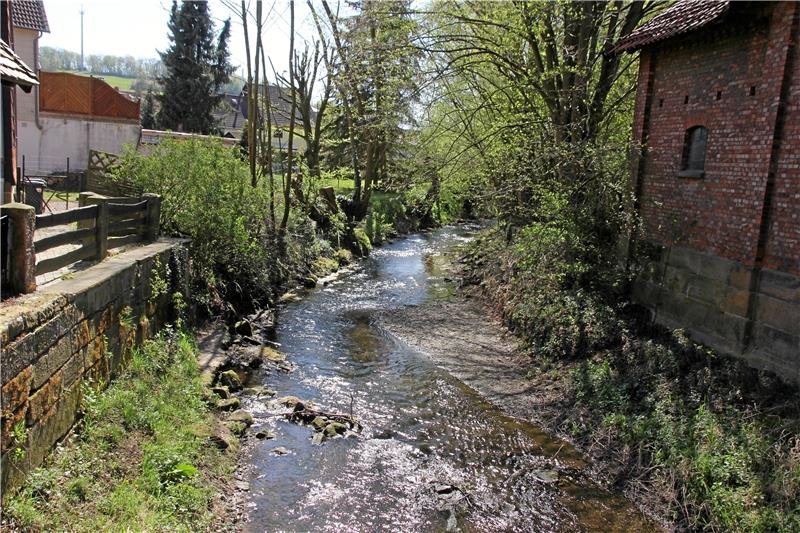 Wenn die Neile über die Ufer tritt, hat Neuwallmoden mit Hochwasser zu kämpfen.