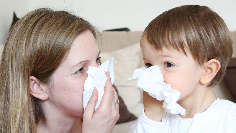 Wenn die Schniefnase läuft: Hausmittel können Symptome lindern. Foto: dpa-tmn