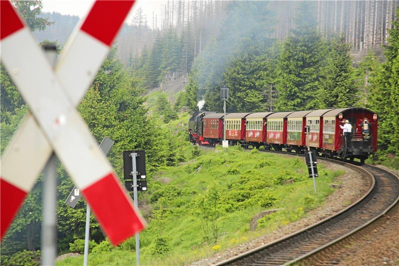 Wenn es nach Halberstadts Landrat Thomas Balcerowski geht, fährt die Harzer Schmalspurbahn bald auch nach Braunlage. Er jedenfalls will sich mit der ganzen Kraft seines Amtes dafür einsetzen, betont er.  Archivfoto: Bein