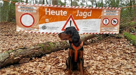 Wer gegenwärtig seinen Jagdschein verlängern will, benötigt Geduld. Foto: Forst
