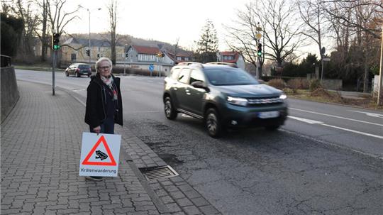 Wer hat ein Herz für Kröten? Gudrun Sakowski sucht Helfer, um die Amphibien sicher über die Straße zu bringen