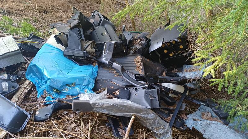 Teile eines alten Audis liegen im Wildemanner Wald.