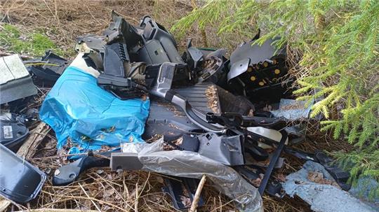 Teile eines alten Audis liegen im Wildemanner Wald.