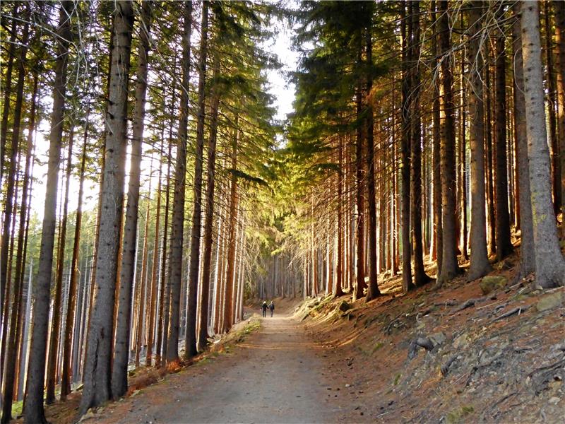 Ausflugsverbot in Sachsen-Anhalt Wer im Ilsetal wandern will und aus Goslar oder Magdeburg kommt, gilt als Tourist und kann von Ordnungshütern abgewiesen werden. Foto: Privat
