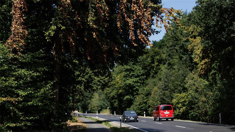 Wer in diesen Wochen draußen unterwegs ist, wähnt sich vielerorts bereits im Herbst.