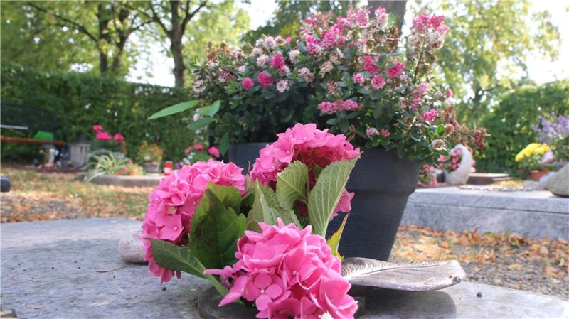 Wer stiehlt Blumensträuße von den Gräbern? Wer klaut Blumenschmuck von Gräbern?