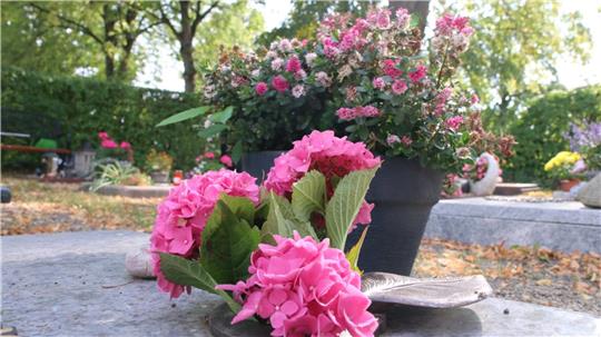 Wer klaut Blumenschmuck von Gräbern?