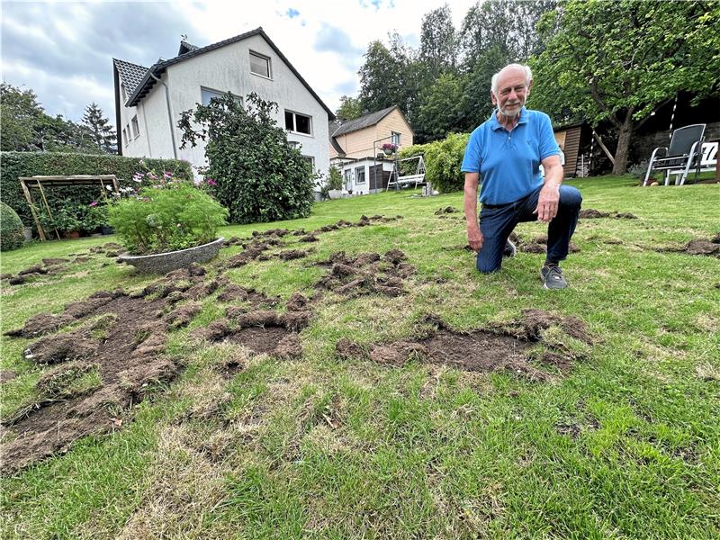 Geheimnisvolle Zerstörung in Harlingeröder Garten Wer macht den sowas? Zum neunten Mal wird der Garten von Gerhard Marth von irgendwem – oder irgendwas – heimgesucht. Langsam hat er die Faxen dicke. Foto: Schlegel