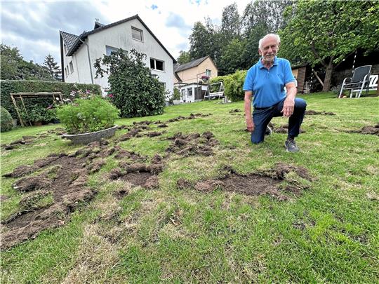 Wer macht den sowas? Zum neunten Mal wird der Garten von Gerhard Marth von irgendwem – oder irgendwas – heimgesucht. Langsam hat er die Faxen dicke. Foto: Schlegel