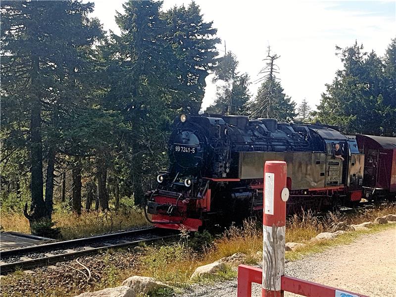 Wer mit der Brockenbahn auf den höchsten Gipfel Norddeutschlands fahren will, bekommt die Tickets dafür ab sofort auch in Clausthal, Altenau oder Torfhaus. Foto: GZ-Archiv