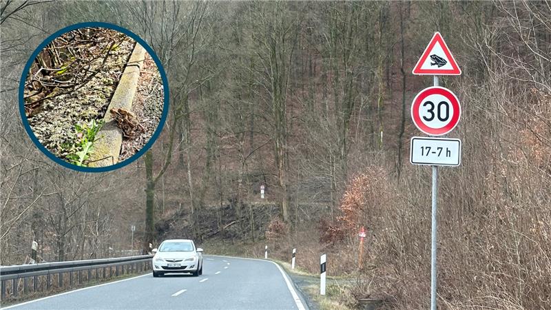 Braunlage: Tempo 30 auf der B 27 den Kröten zuliebe Wer nach 17 Uhr von Braunlage nach Bad Lauterberg fährt, muss künftig wegen der Krötenwanderungen (kleines Bild) sein Tempo auf 30 Stundenkilometer drosseln. Fotos: Eggers/Potthast