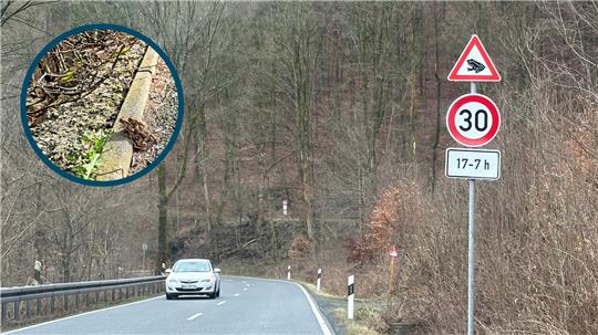 Wer nach 17 Uhr von Braunlage nach Bad Lauterberg fährt, muss künftig wegen der Krötenwanderungen (kleines Bild) sein Tempo auf 30 Stundenkilometer drosseln. Fotos: Eggers/Potthast
