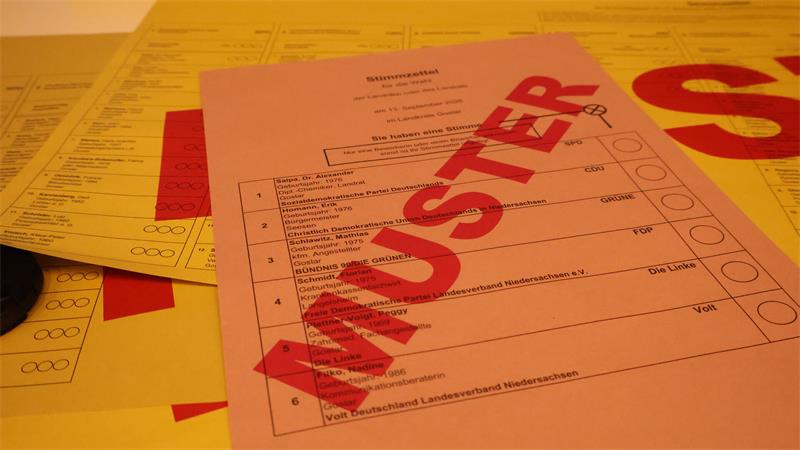 Wer soll neuer Landrat werden? Am 13. September haben die Goslarer die Wahl zwischen sechs Kandidaten.