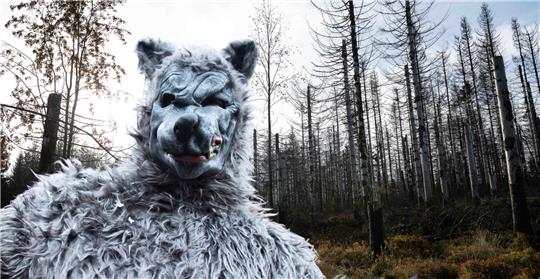 Wer treibt im Wald sein Unwesen? Montage: GZ, picture alliance/dpa | Swen Pförtner