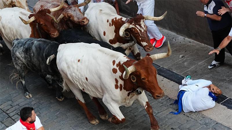 Wer während der Stierrennen in Pamplona stürzt, soll den Kopf mit den Armen vor den Hufen der Stiere schützen und sich möglichst schnell an den Straßenrand rollen.