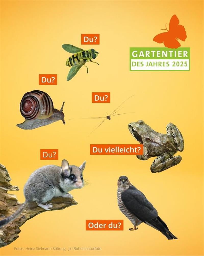 Wer wird das Gartentier 2025?