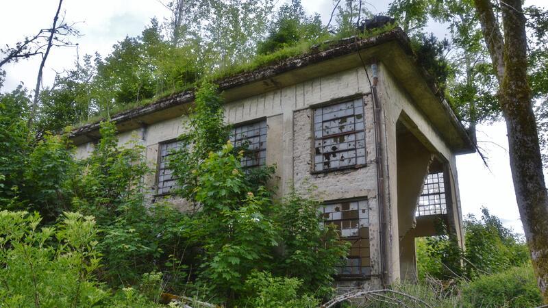 Verlassenes Gebäude mit überwucherten Fenstern und Dach, umgeben von dichtem Bewuchs.
