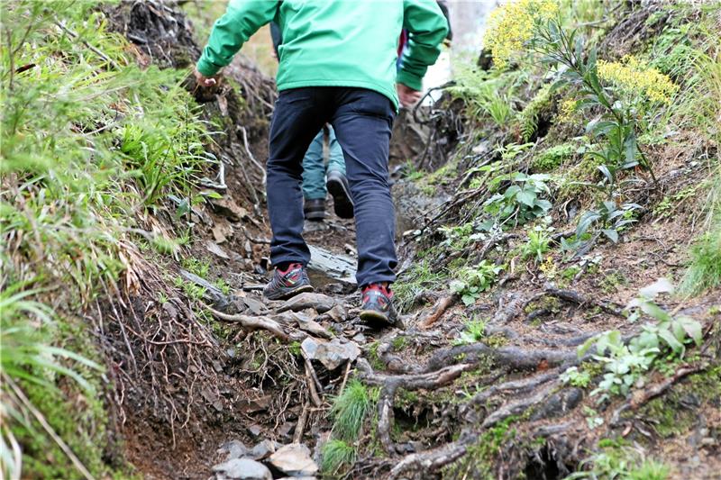 Wie auf dem Magdeburger Weg ist auch auf der neuen Umleitungsstrecke Trittsicherheit gefragt.