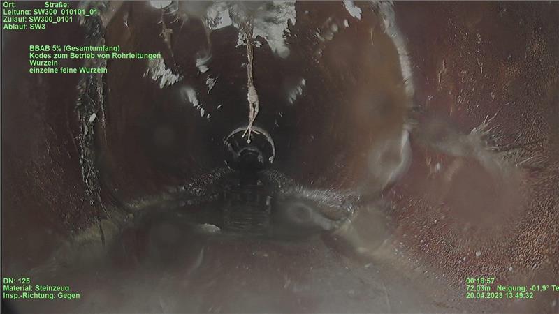 Schneeräumung und Abwasser: Stadt muss die Gebührenschraube drehen Das Foto zeigt einen Abwasserkanal von innen, in den bereits Wurzelwerk eingedrungen ist.