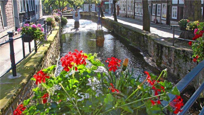 Wie friedlich liegt sie da: Die Abzucht mit den Abzuchtblumen ist ein beliebtes Fotomotiv und hat es 2016 auch in den Bergkalender geschafft.