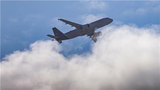 Wie kann ein Passagier die Umweltauswirkungen des Fliegens kompensieren?