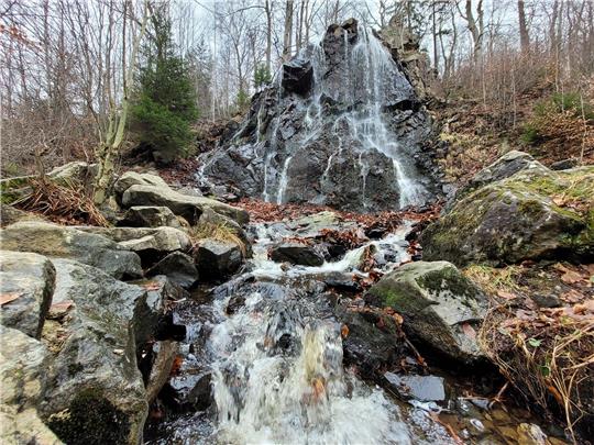 Wie und wann geht es weiter mit dem Radau-Wasserfall südlich von Bad Harzburg, an dem dringend nötige Reparaturen zu erledigen sind? Die frisch geformte Interessengemeinschaft zum Erhalt des Bauwerks und die Landesforsten als Eigentümer haben dazu Kontakt miteinander aufgenommen. Foto: Exner