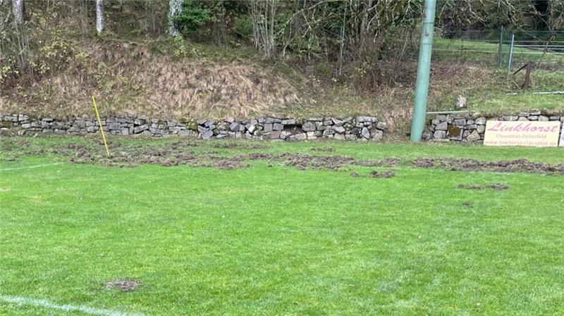 Wildschweine attackieren wieder Sportplatz Ringerhalde Wildschweine haben auf dem Rasenplatz des TuS Clausthal-Zellerfeld an der Ringerhalde ihr Unwesen getrieben.