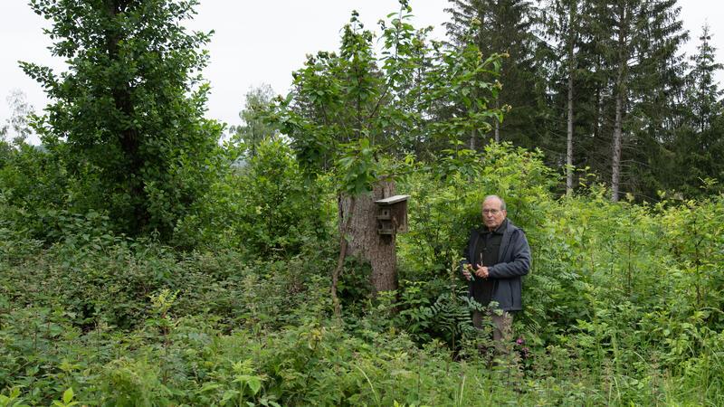 Willi Grope, ehemaliger Förster und Unterstützer im Projekt Spurensuche Gartenschläfer, steht an einem Nistkasten. Foto: Maurice Arndt/dpa