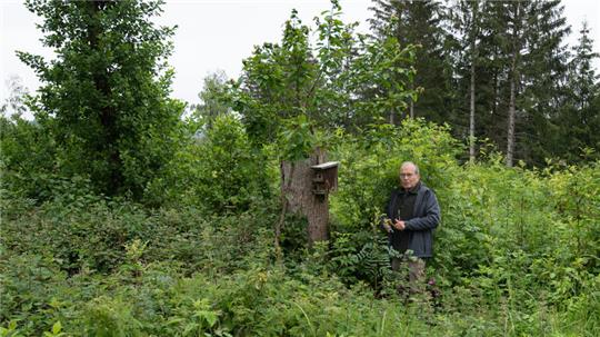 Willi Grope, ehemaliger Förster und Unterstützer im Projekt Spurensuche Gartenschläfer, steht an einem Nistkasten. Foto: Maurice Arndt/dpa