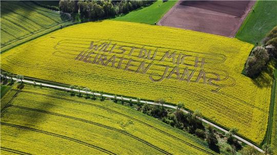 "Willst Du mich heiraten, Jana?", steht in einem Rettichfeld bei Rauschenberg im Landkreis Marburg-Biedenkopf.