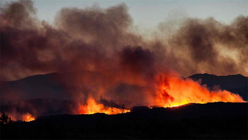 10.000 Menschen fliehen vor Flammen in Südfrankreich Wind, Hitze und Trockenheit fachen einen großen Brand in Südfrankreich an.