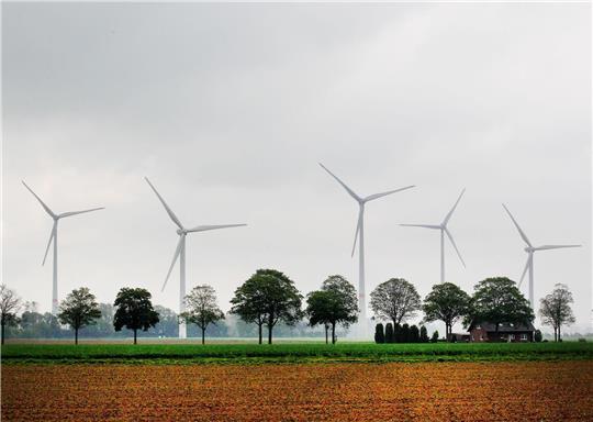 Windkraftanlagen hinter Feldern.