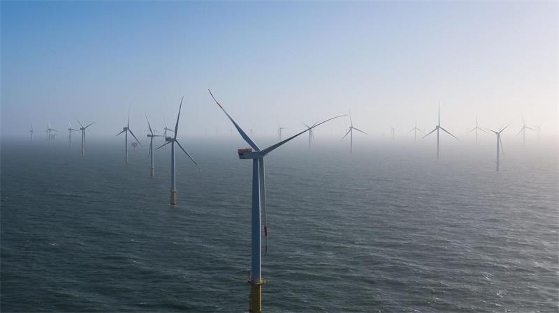 Deal mit Windkraftgegner Trump: RWE stoppt Offshore-Projekte Windkraftanlagen sind ein Teil des Geschäfts von RWE. (Archivbild)