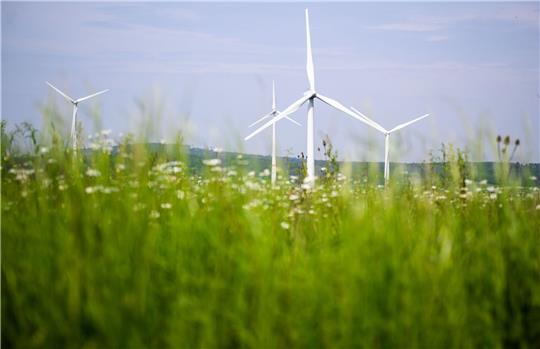 Windräder drehen sich auf einem Feld.