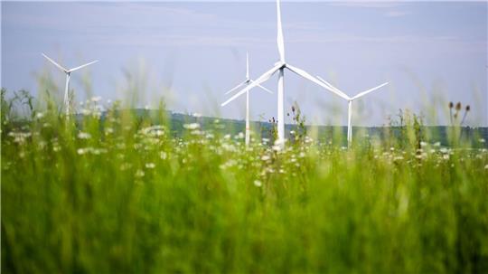 Windräder drehen sich auf einem Feld. Auch im Landkreis Goslar soll die Windenergie weiter ausgebaut werden.