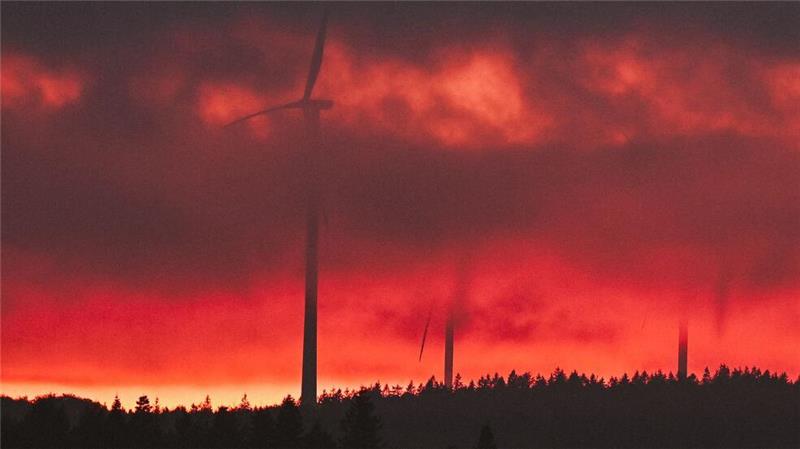 Windräder  im Abendrot