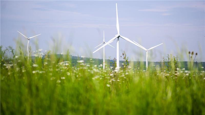 Niedersachsen verbucht Rekord bei grünem Strom Windräder in Niedersachsen liefern immer mehr Strom. (Archivfoto)