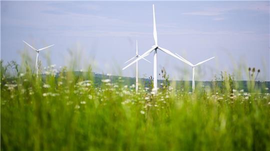 Windräder in Niedersachsen liefern immer mehr Strom. (Archivfoto)