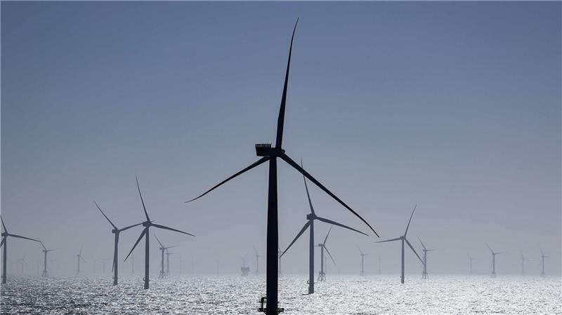 Windräder stehen in einem Windpark in der Nordsee. (Archivbild)