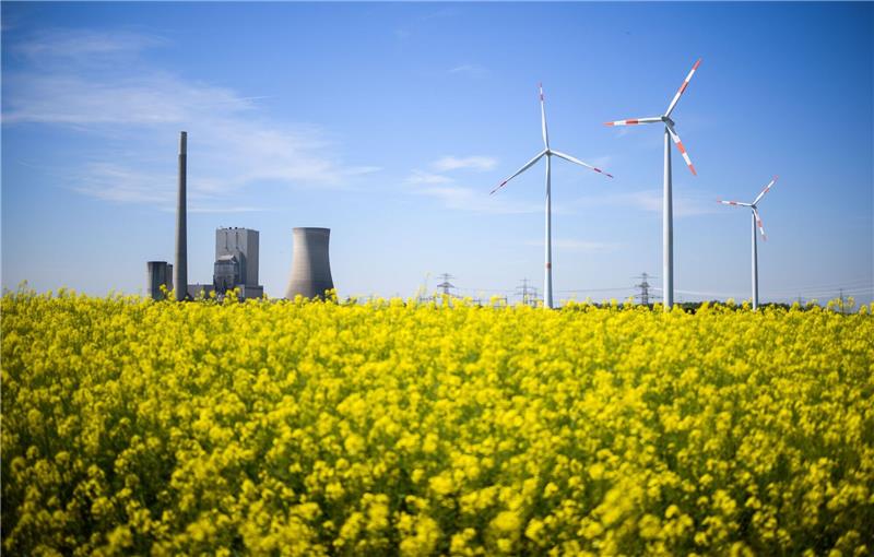 Windräder und das Kohlekraftwerk Mehrum stehen hinter einem Rapsfeld im Landkreis Peine.