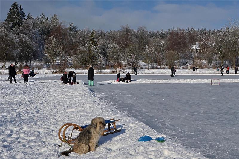 Winterfest Hahnenklee 2026