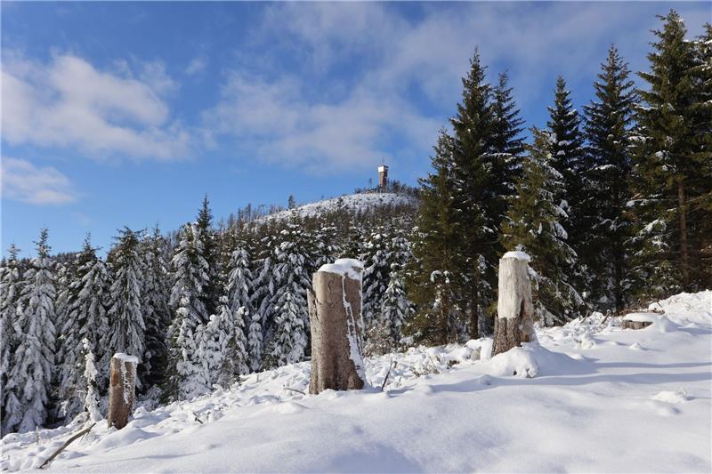Wetter im Harz: Erst schwere Sturmböen, dann Schneefall Winterlich präsentiert sich der Harz auf diesem Archivbild. Foto: Matthias Bein/DPA