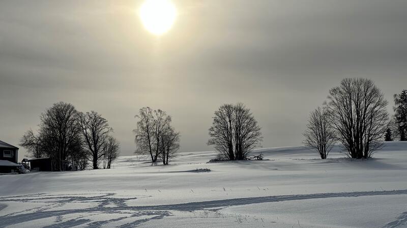 In einigen Orten im Harz könnte es Schnee an den Festtagen geben Winterliche Landschaft in Braunlage: Wer sich weiße Weihnachten wünscht und im Oberharz wohnt, könnte in diesem Jahr Glück haben. Das Bild vom Hasselkopf stammt allerdings aus dem Januar dieses Jahres.