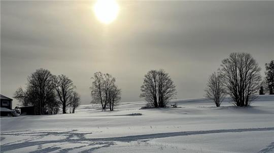 Winterliche Landschaft in Braunlage: Wer sich weiße Weihnachten wünscht und im Oberharz wohnt, könnte in diesem Jahr Glück haben. Das Bild vom Hasselkopf stammt allerdings aus dem Januar dieses Jahres.