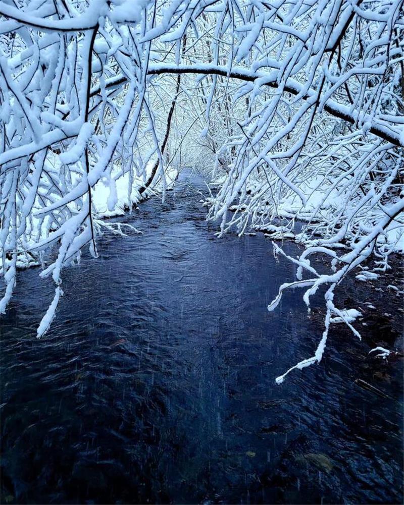 Winterliche Leserfotos aus der Region.