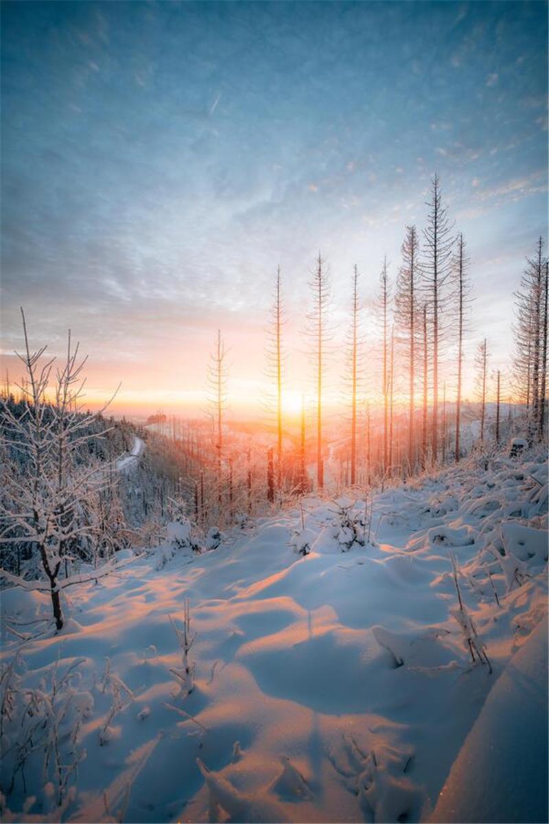 Winterliche Leserfotos aus der Region.